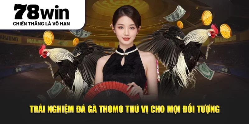 Trải nghiệm đá gà Thomo thú vị cho mọi đối tượng